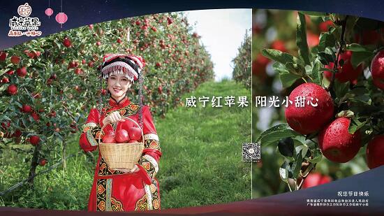 威寧蘋果機(jī)場(chǎng)廣告投放